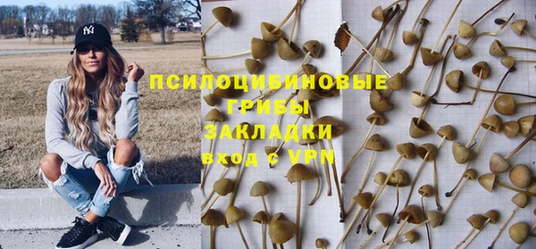 МДМА Алексеевка